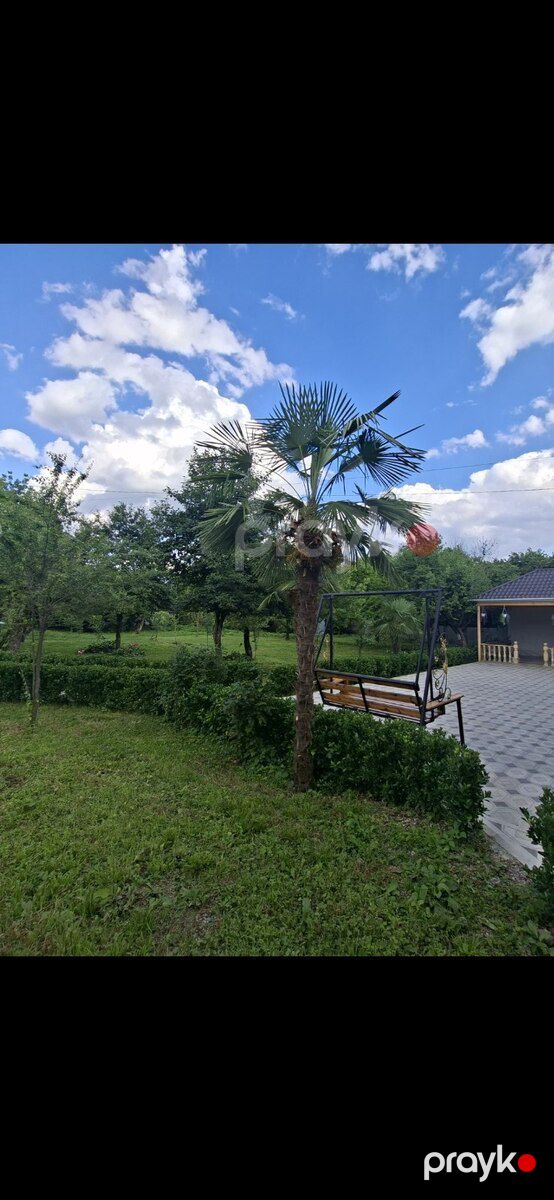 Bağ evi kirayə verilir, İsmayıllı r — Ev, villa, İsmayıllı (7)