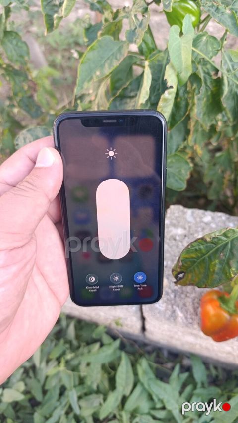Apple iPhone 11 Pro Midnight Green 256GB/4GB — Bakı