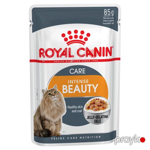 Nəm yem pişik üçün Royal Canin Intense Beauty In Jelly 85 q — Bakı