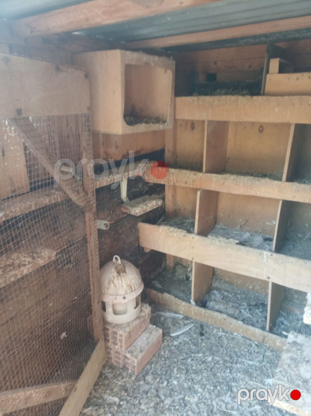 Metaldan və taxtadan hazırlanmış quşxana/kümes - Korpus: Dalğalı — Qəfəslər, Digah (2)