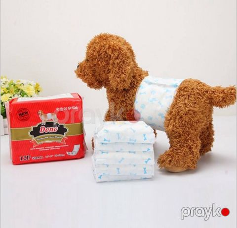 Küçüklər üçün bezlər puppy_022 — Bakı