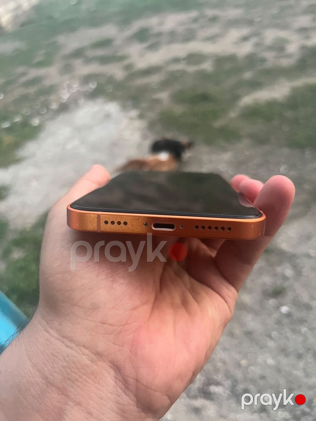 256 GB, Narıncı, Face ID — Apple iPhone, Masallı (5)