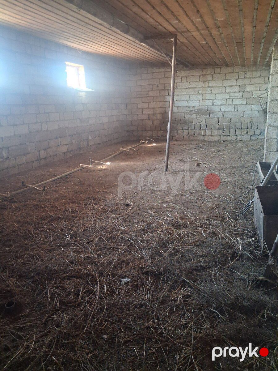 Həyət evi, Zirə qəs — Ev, villa, Bakı (2)