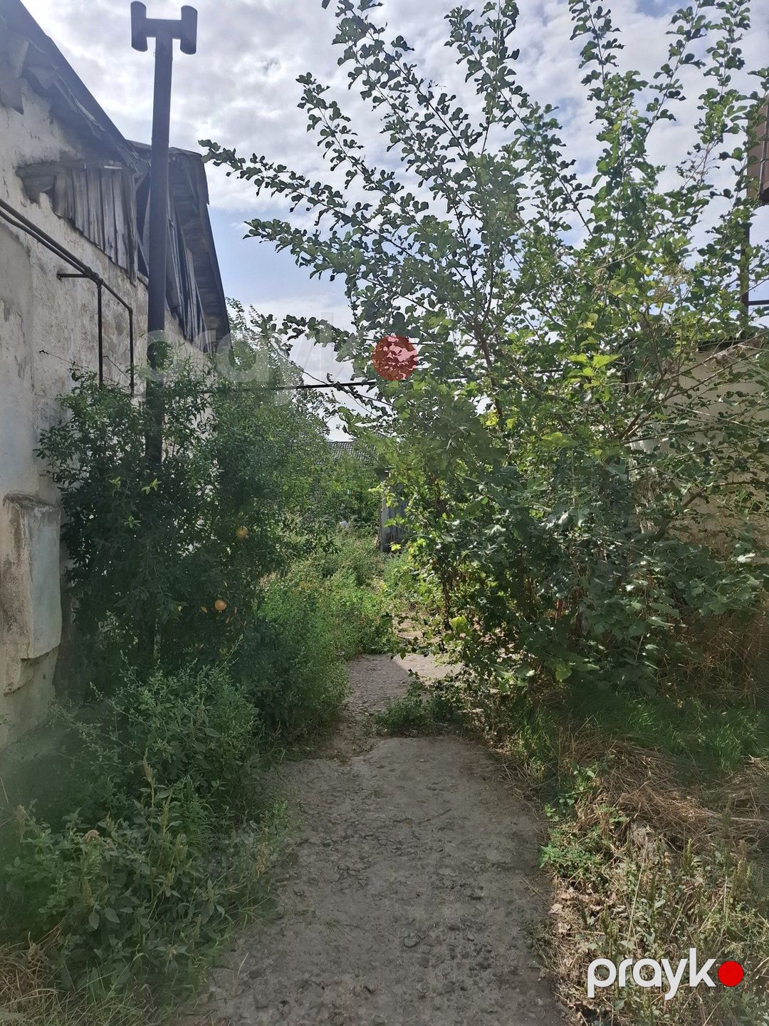 Satılır torpaq 7 sot — Torpaq, Bakı (6)
