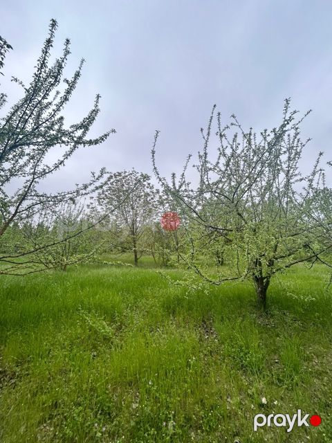 12 sot torpaq sahəsi, Qusar r — Qusar
