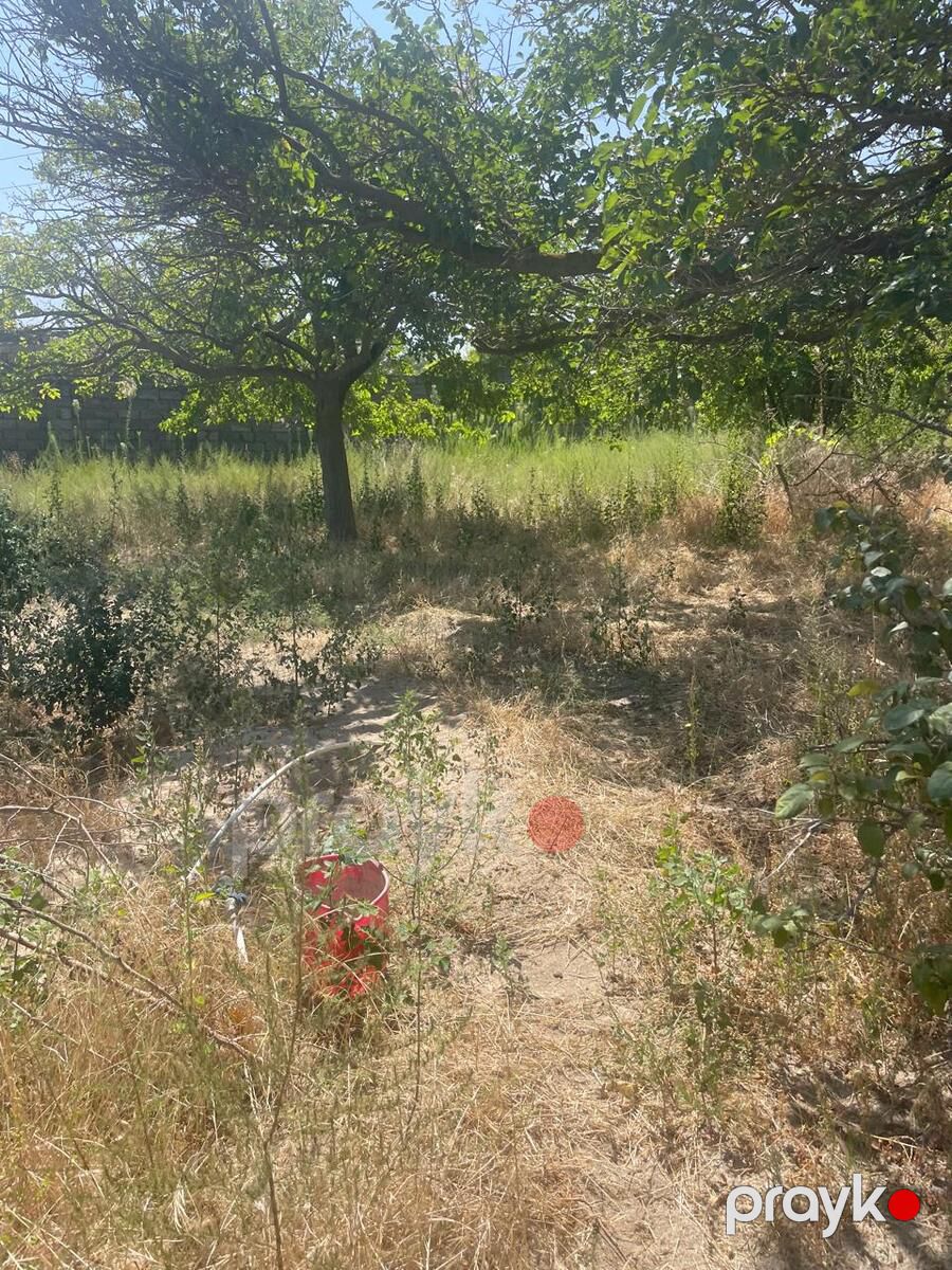 Satılır torpaq 14 sot — Torpaq, Bakı (3)