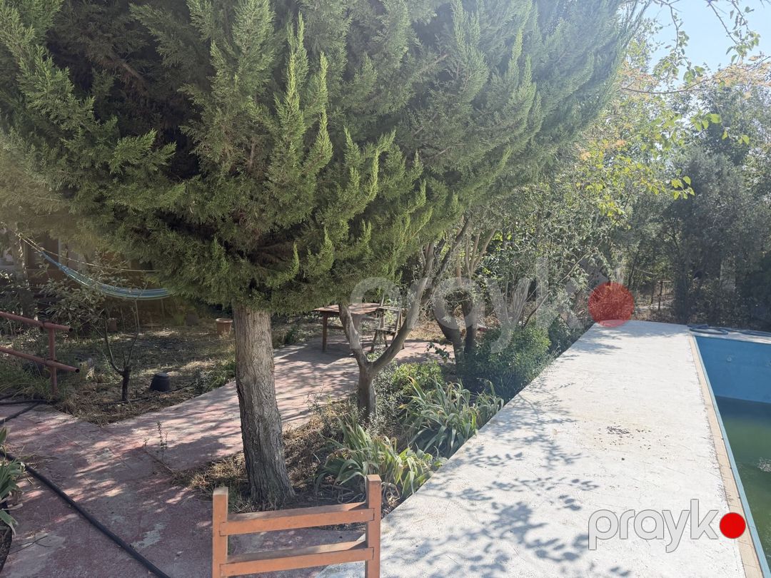 Satılır torpaq 15.5 sot — Torpaq, Bakı (11)