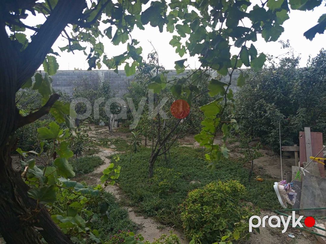 Həyət evi, Sumqayıt ş — Ev, villa, Sumqayıt (9)