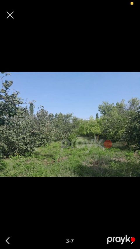 3 otaqlı, 126 kv. m, Kredit yoxdur, Orta təmir — Xaçmaz