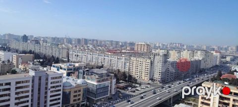 Satılır 4 otaqlı yeni tikili 172 m² — Bakı
