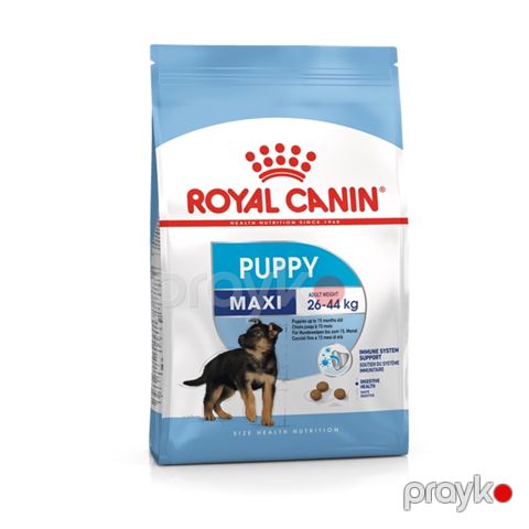 Quru yem Royal Canin Maxi Puppy orta cinslər üçün 2-dən 15 aya-dək 15 kq — Bakı