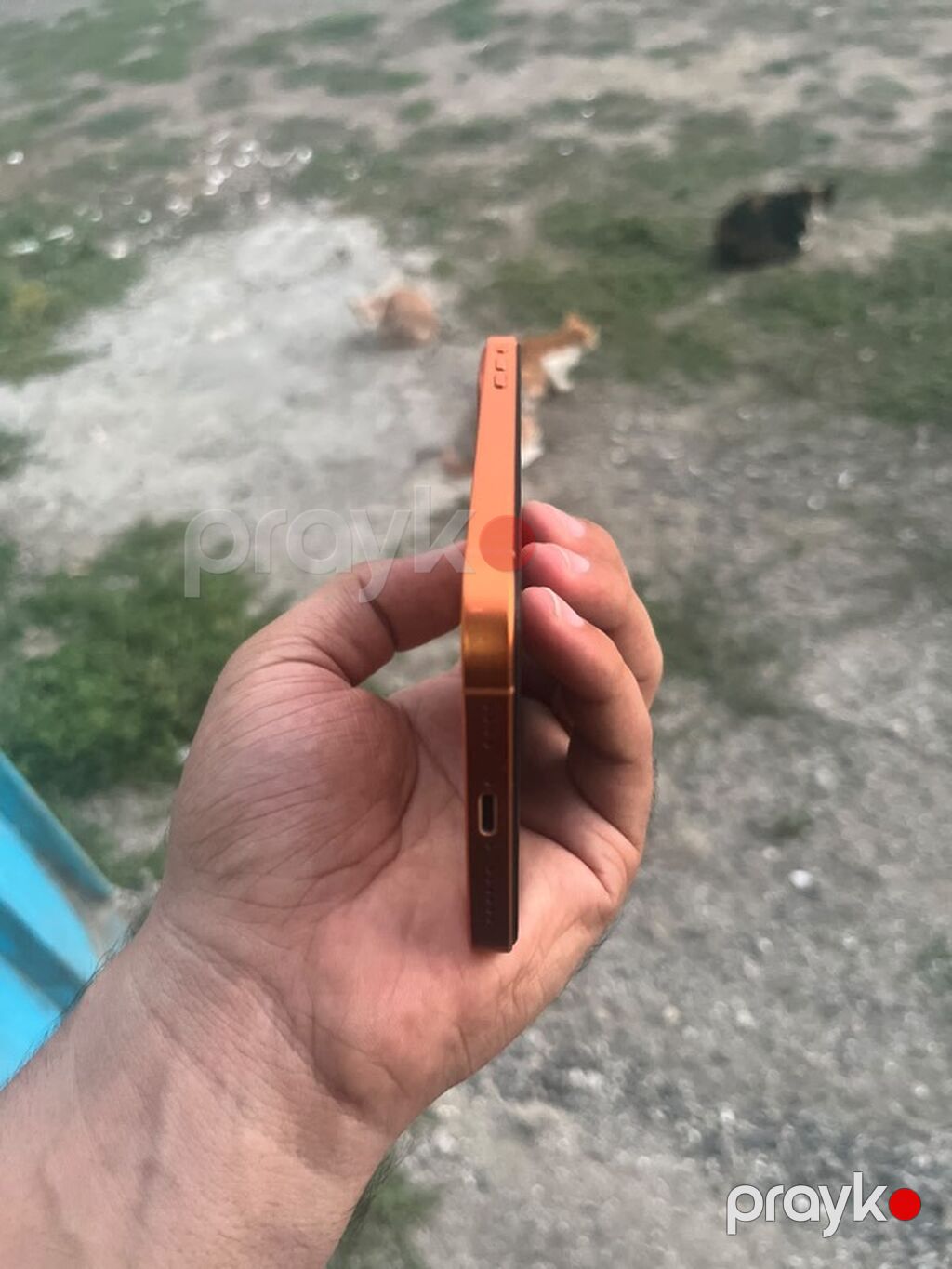256 GB, Narıncı, Face ID — Apple iPhone, Masallı (4)