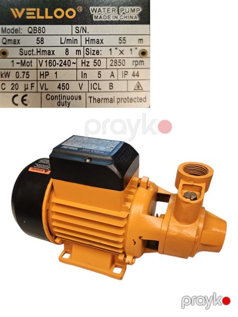 Bağ nasosu Welloo 0.75 Vt 20 m — Bakı