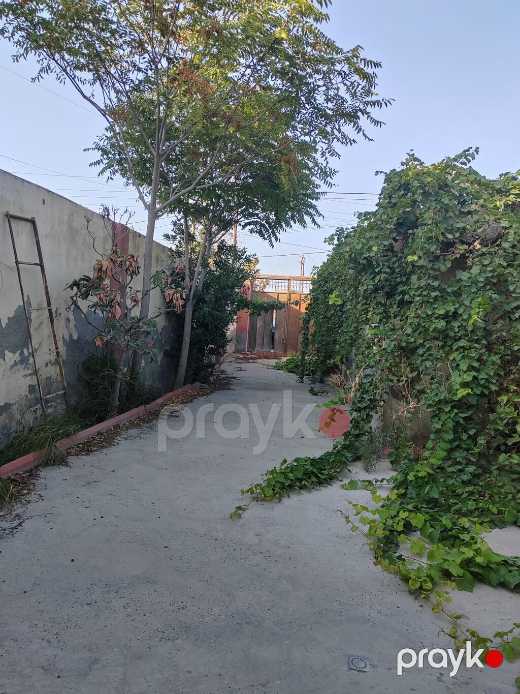 Binəqədi qəs. 3 otaqlı, 84 kv. m, Kredit yoxdur, Orta təmir — Ev, villa, Bakı (6)