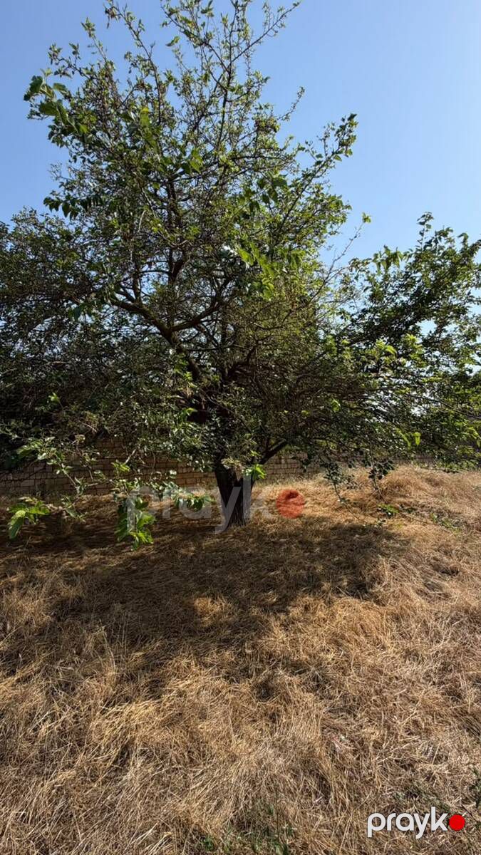 Satılır torpaq 370 sot — Torpaq, Bakı (12)