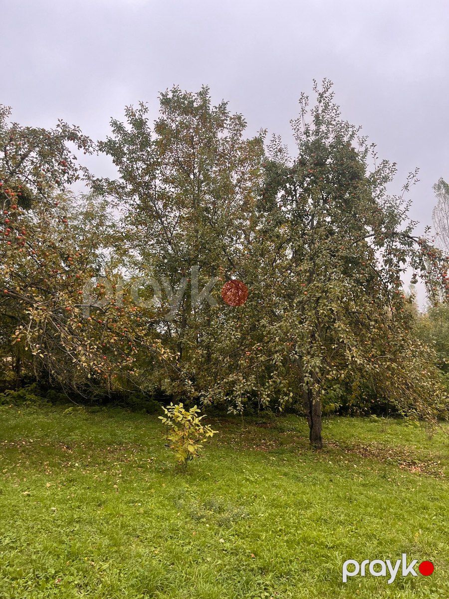 30 sot torpaq sahəsi, Qusar r — Torpaq, Qusar (4)