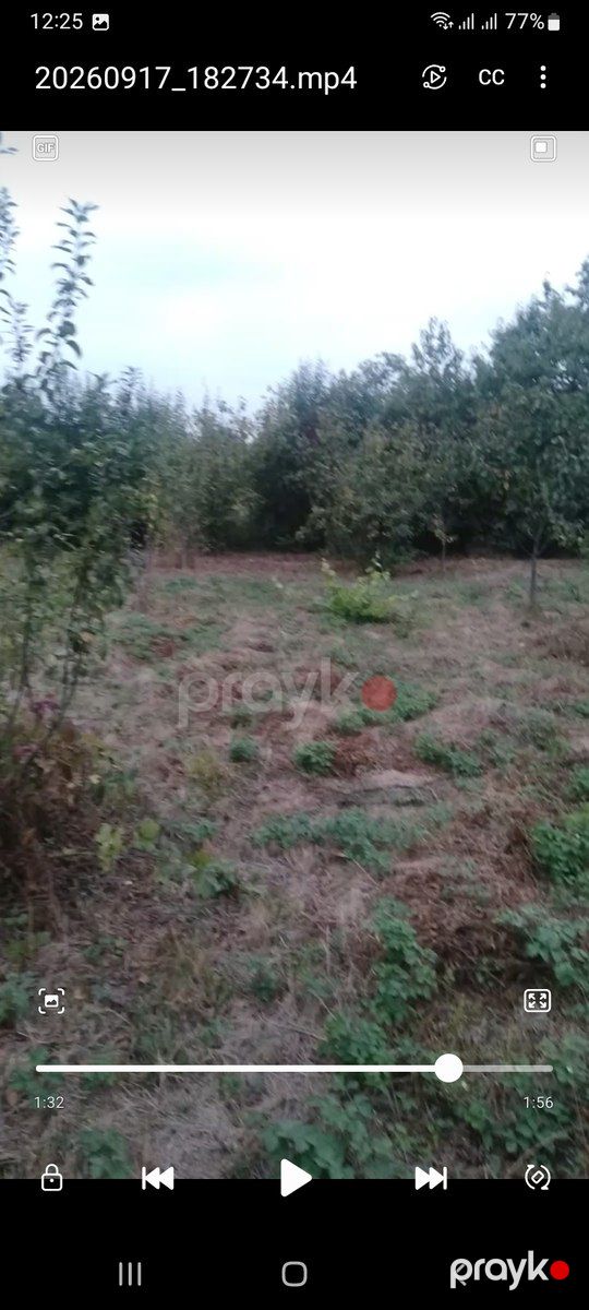 3 sot torpaq sahəsi, Çinarlı kəndi — Torpaq, Quba (3)