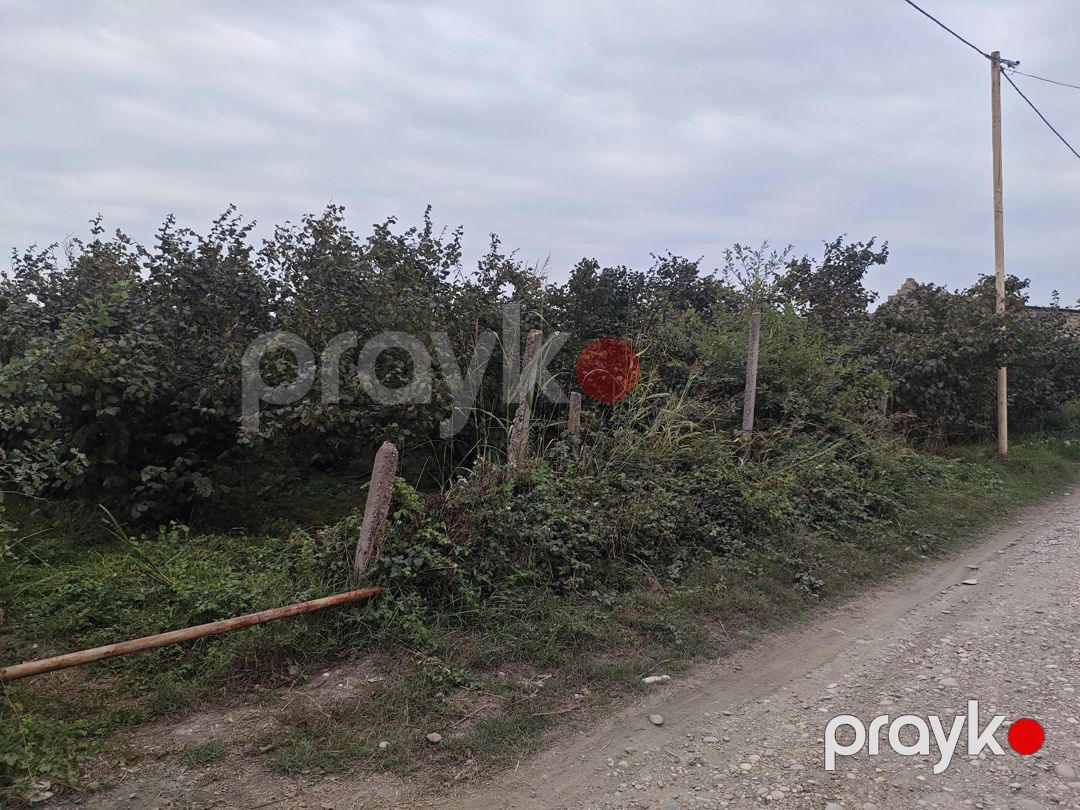 14 sot torpaq sahəsi, Xaçmaz r — Torpaq, Xaçmaz (2)