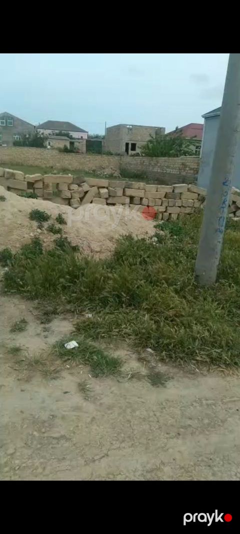 10 sot, Tikinti, Kupça (Çıxarış) — Bakı