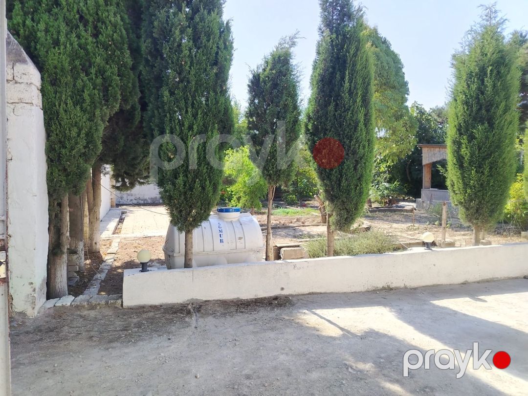 Satılır torpaq 13 sot — Torpaq, Bakı (5)