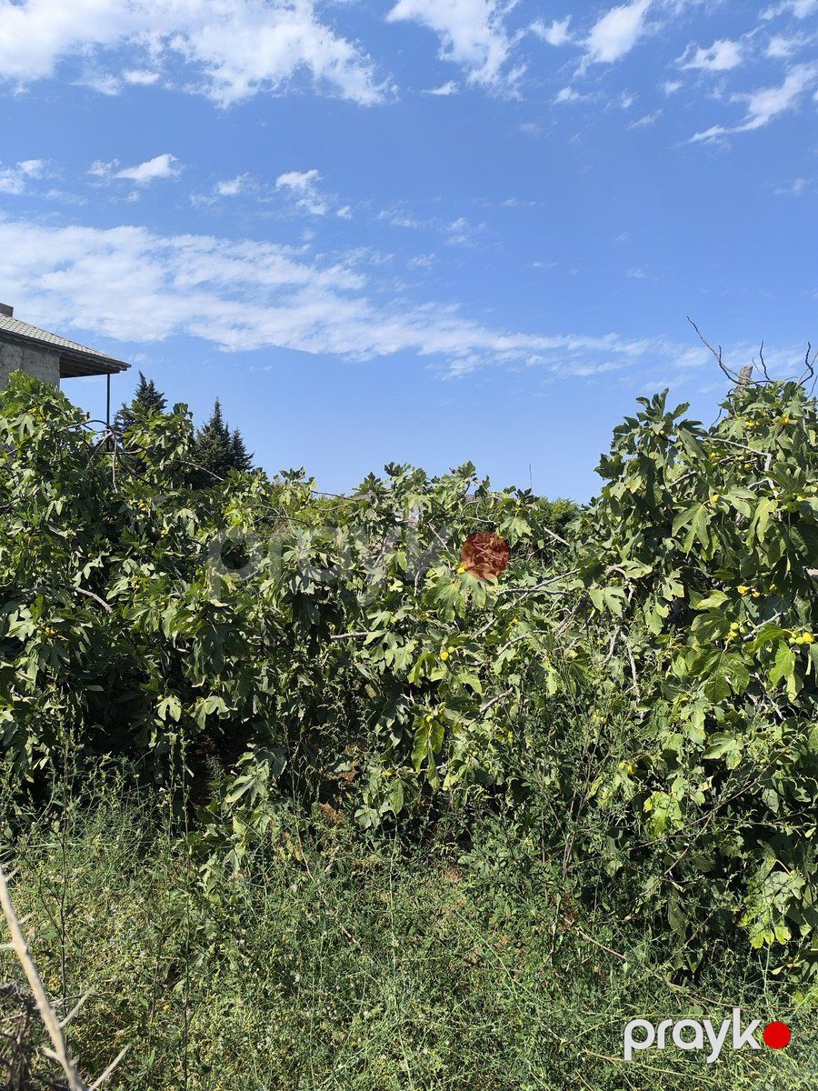 Satılır torpaq 16 sot — Torpaq, Bakı (2)