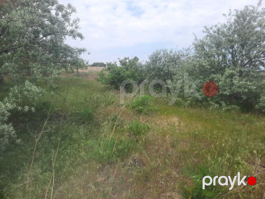 23 sot torpaq sahəsi, Maştağa qəs — Torpaq, Bakı (4)