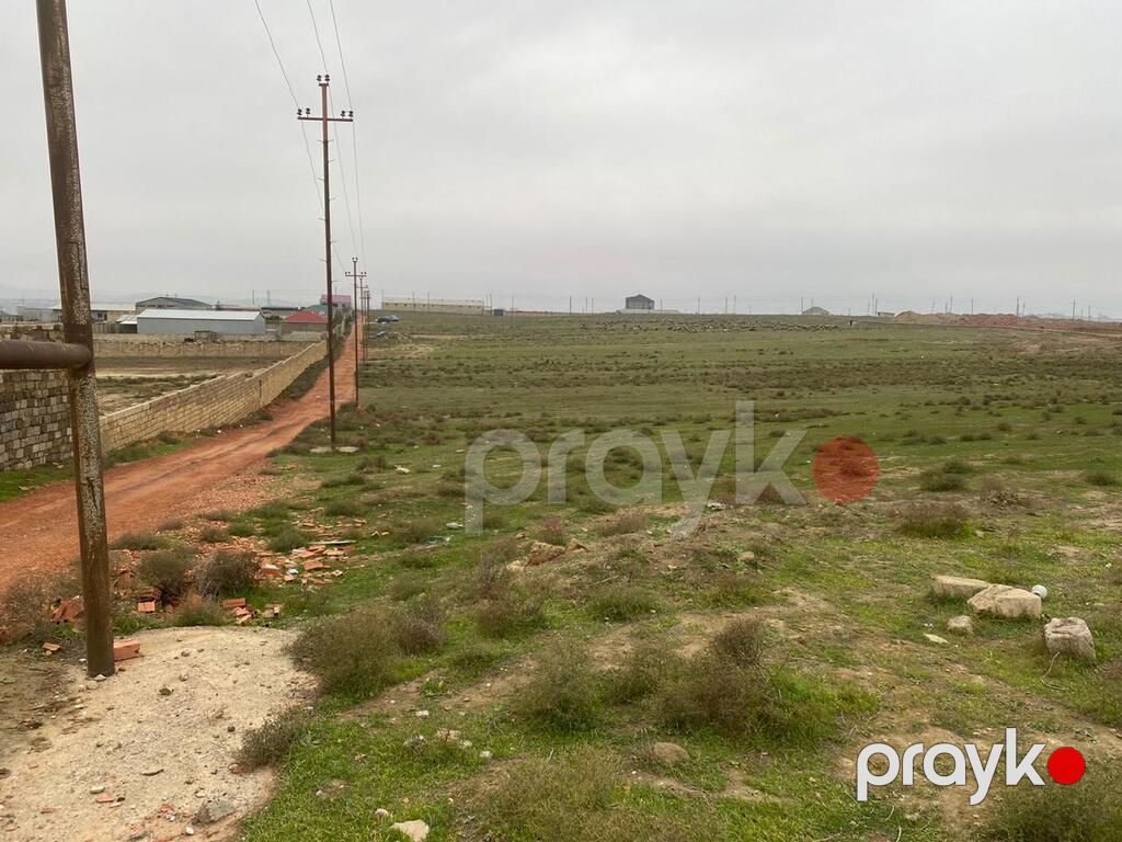 Satılır torpaq 366 sot — Torpaq, Bakı (3)