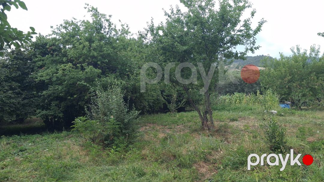 15 sot torpaq sahəsi, İsmayıllı r — Torpaq, İsmayıllı (5)