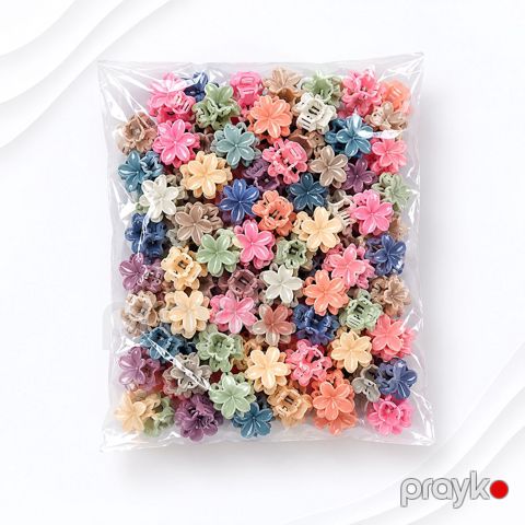 Saç üçün sıxac dəsti 30283, plastik, rəngbərəng, 100 əd — Bakı