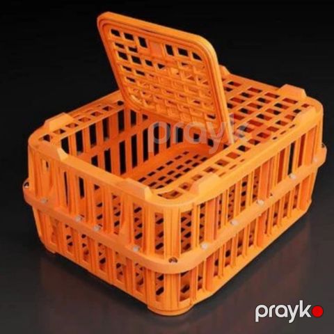 Toyuq daşımaq üçün səbət, plastik, narıncı — Bakı