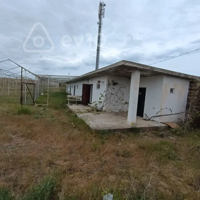 Torpaq sahəsi, 24 sot, Albalı bağları — Torpaq, Bakı (8)