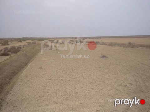 Satılır Torpaq sahəsi, 5500 sot, Qaradağ rayonu — Bakı