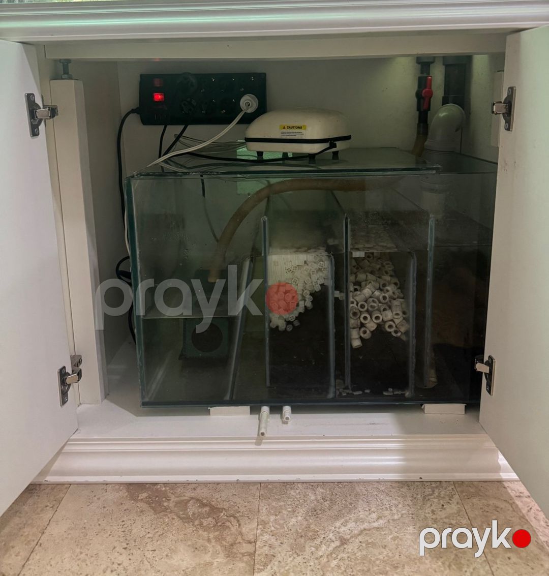 Akvarium — Akvariumlar və balıqlar, Bakı (2)