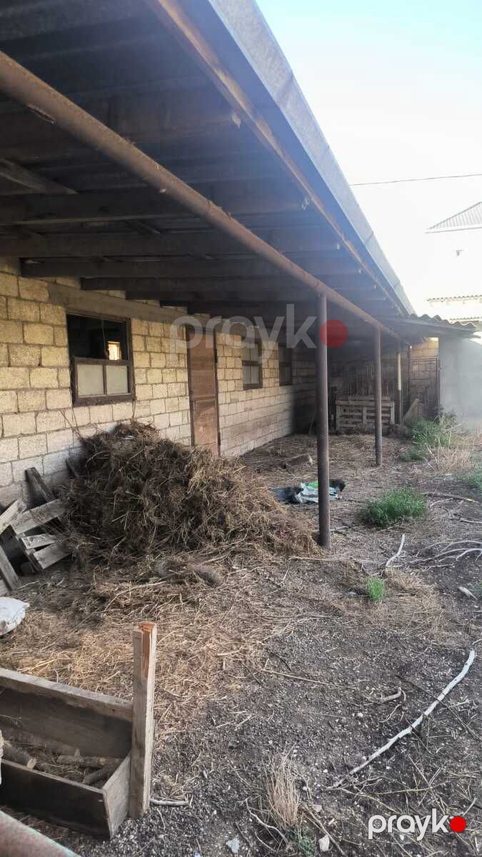 Satılır torpaq 72 sot — Torpaq, Bakı (8)
