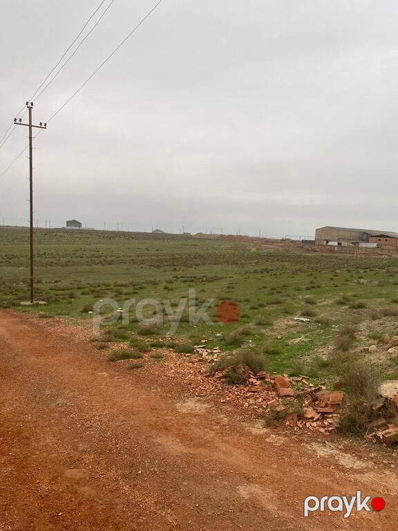 Satılır torpaq 366 sot — Torpaq, Bakı (7)