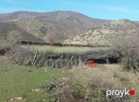 19 sot torpaq sahəsi, İsmayıllı r — İsmayıllı