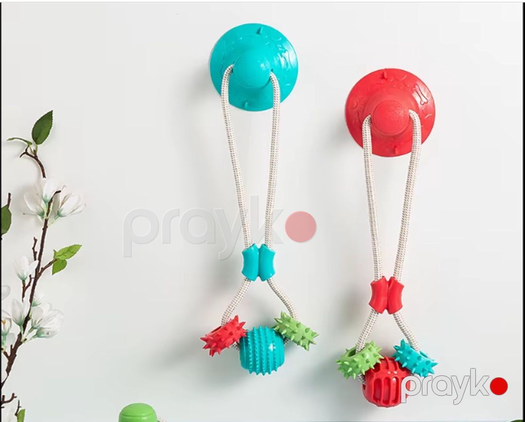İtlər üçün oyuncaq WS_K-522-7-22_mint, firuzəyi — Mallar, Bakı (3)