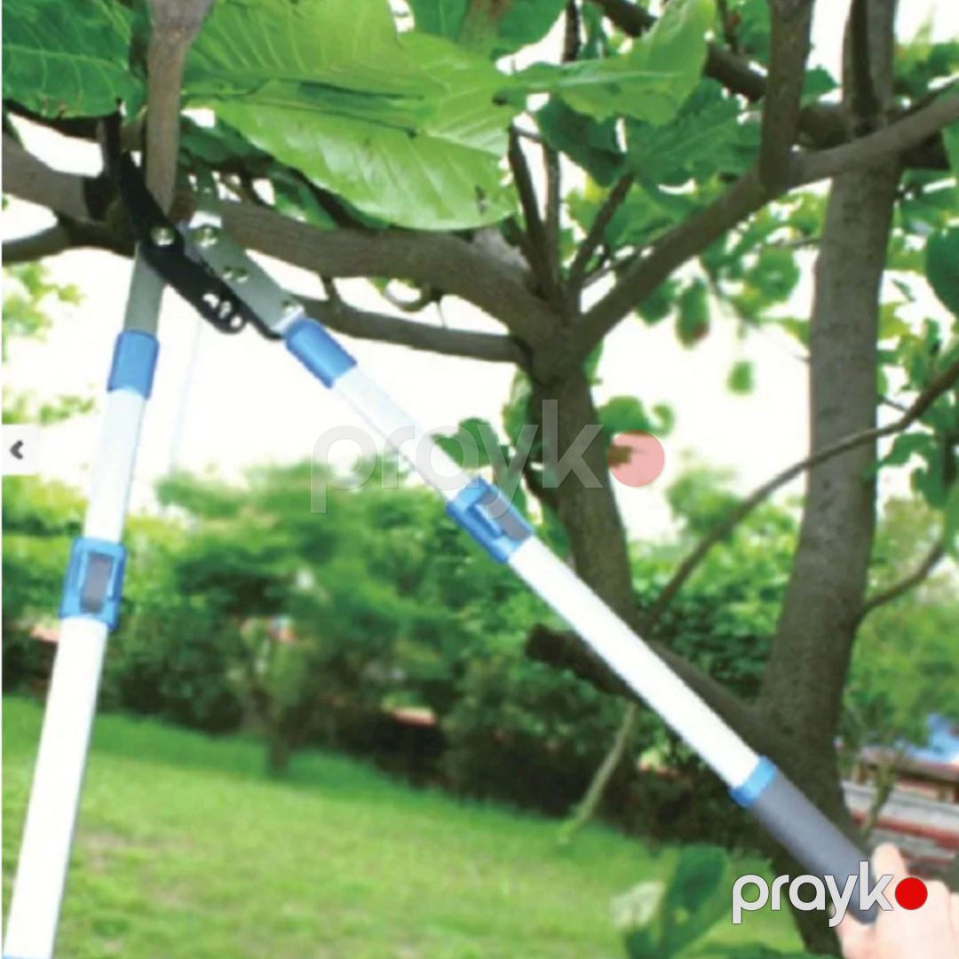 Budaq doğrayan Green Apple GTBL12-007, boz/qara — Mallar, Bakı (3)