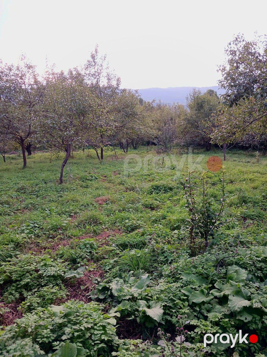 Satılır torpaq 25 sot — Torpaq, Quba (5)