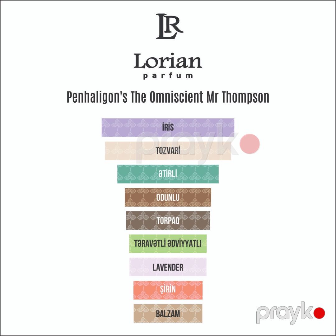 Ətir məhsulları The Omniscient Mr Thompson France uniseks parfüm suyu 100 ml - Lorian-085-100 — Mallar, Bakı (2)