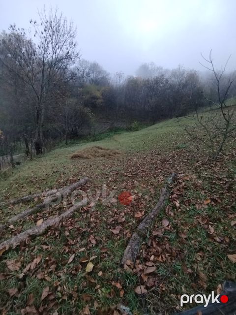 6 sot torpaq sahəsi, Quba — Quba