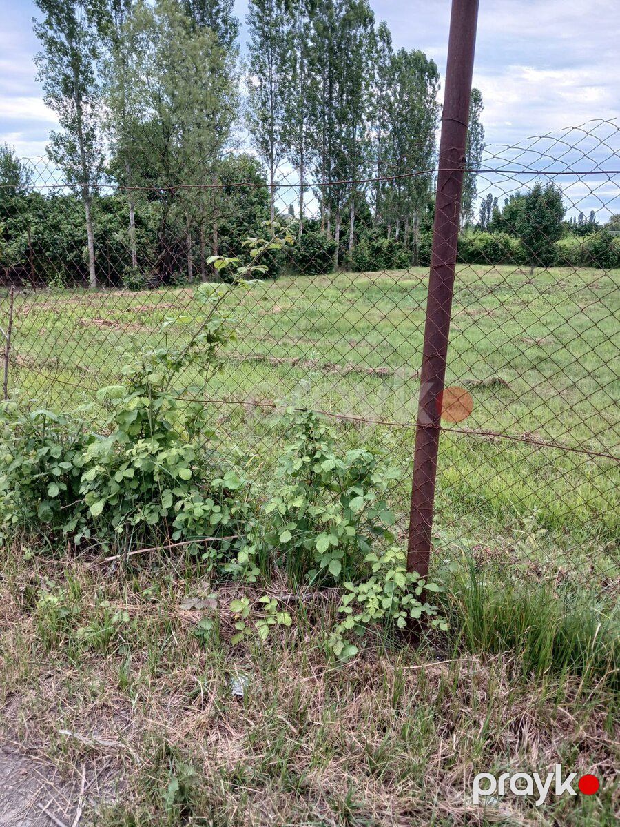 12 sot torpaq sahəsi, Xudat ş — Torpaq, Xudat (4)