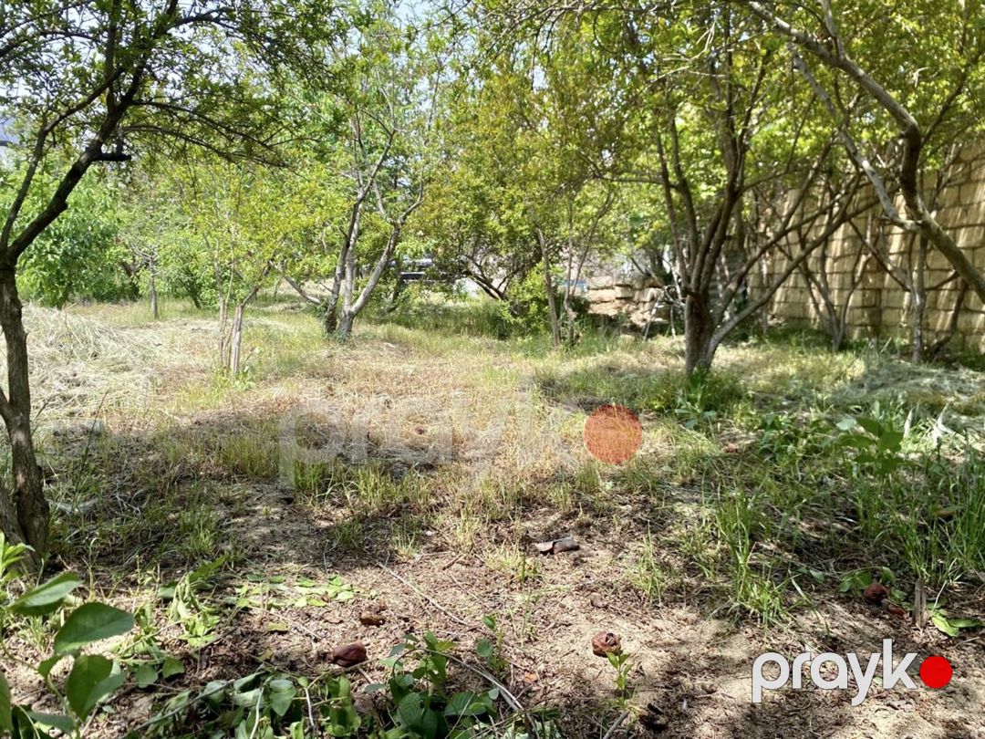 Satılır torpaq 6 sot — Torpaq, Bakı (2)