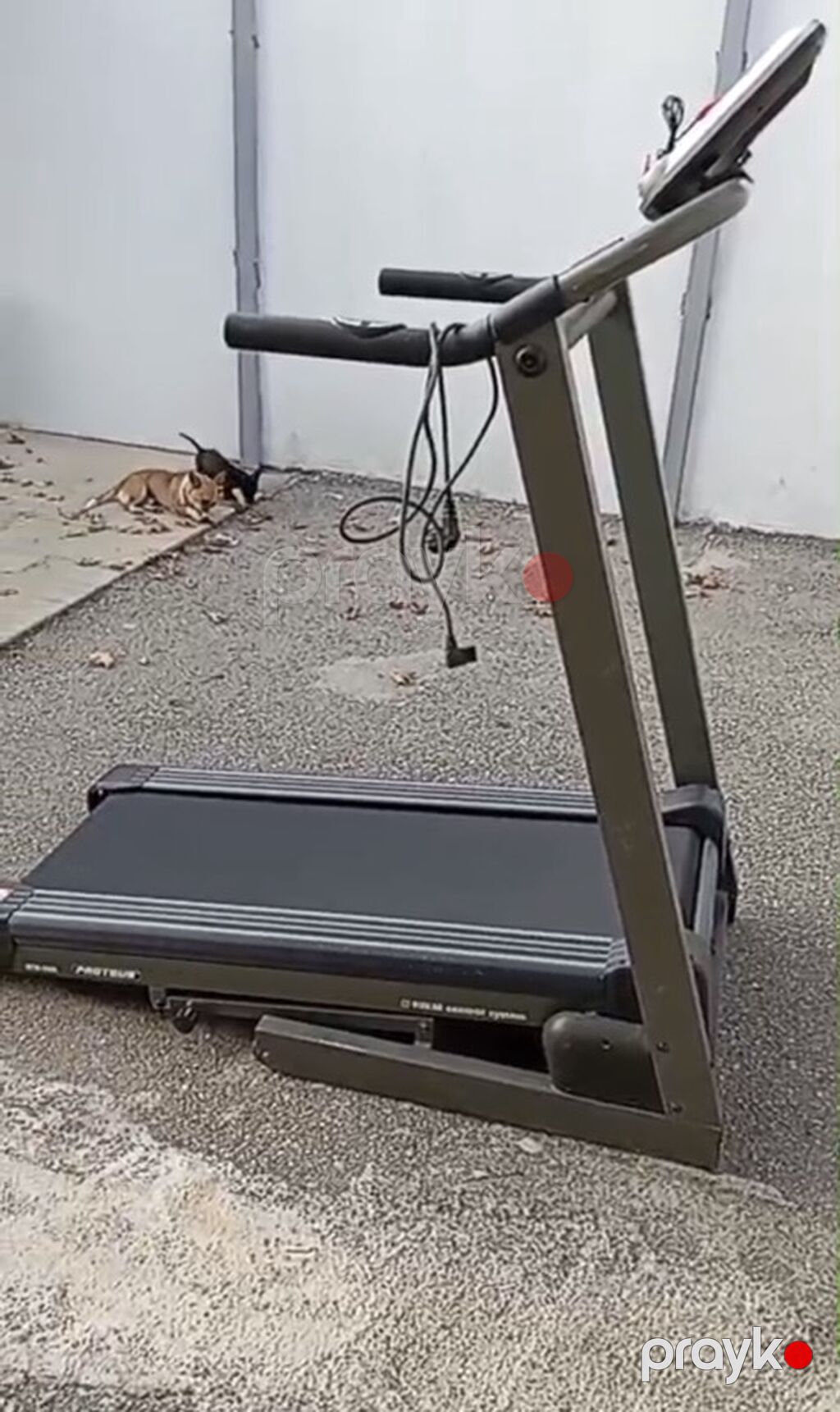 Elektrikli qaçış trenajoru – evdə kardio məşqləri üçün - Kompakt və — Koşu simulyatorları, Digah (2)