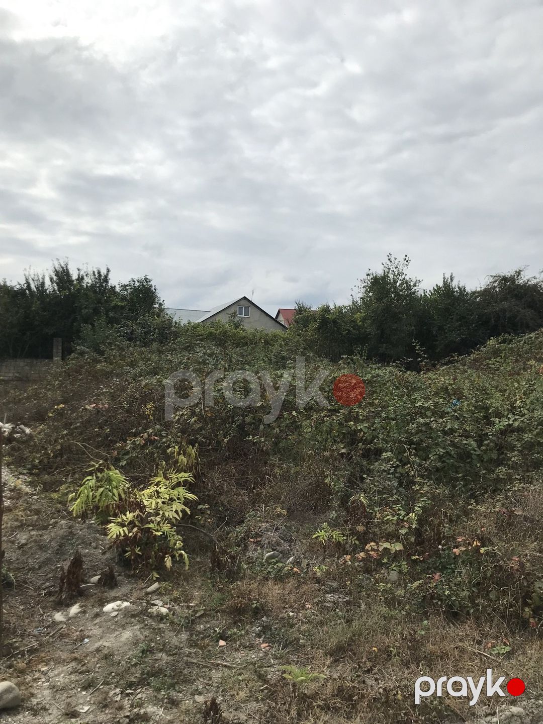 6 sot torpaq sahəsi, Qusar r — Torpaq, Qusar (4)