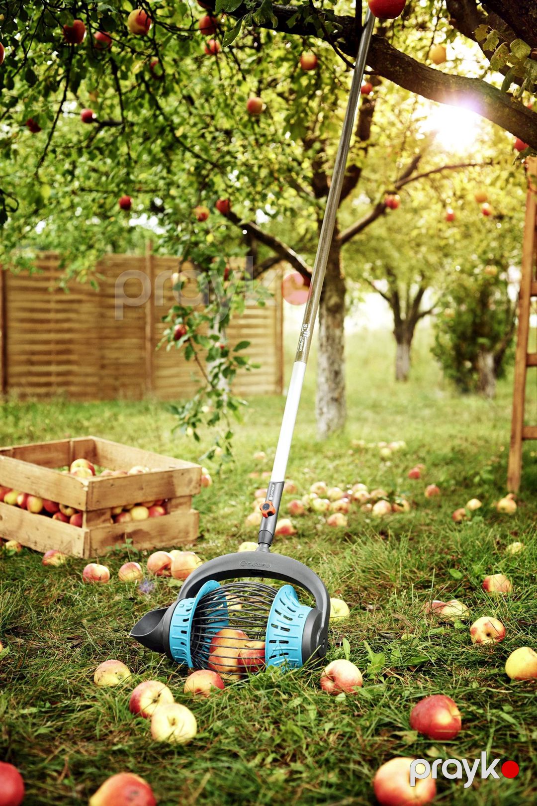 Meyvə toplayan Gardena combisystem Fruit Collector, 3108-20 — Mallar, Bakı (3)