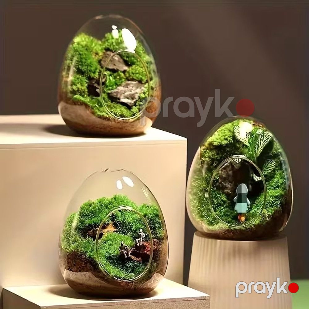 Terrarium 10814, plastik — Mallar, Bakı (2)