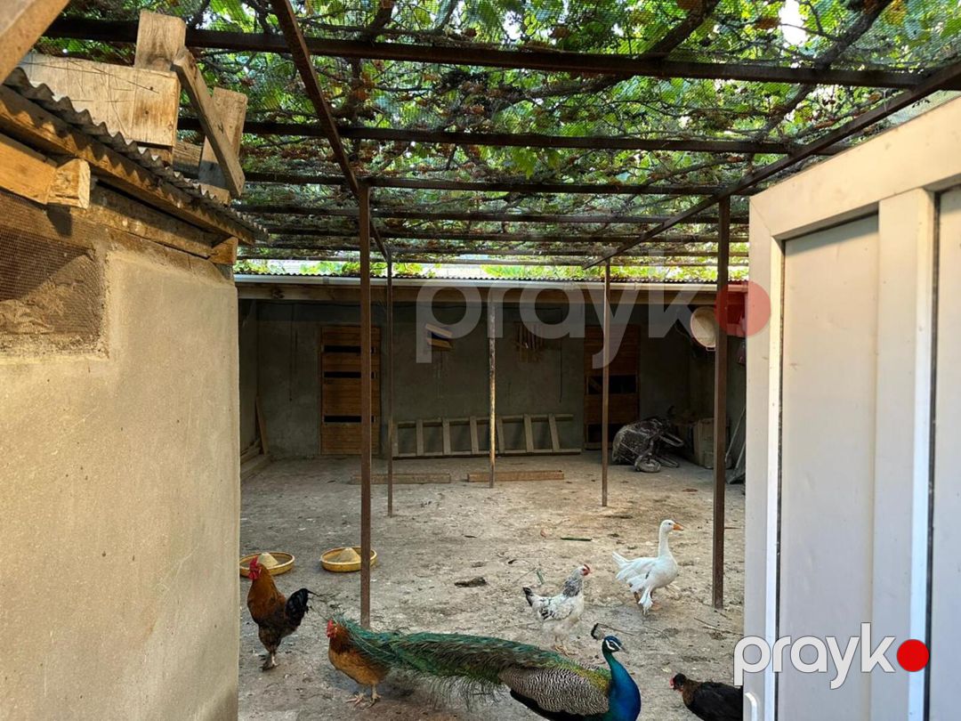 Satılır 5 otaqlı həyət evi/bağ evi 240 m² — Ev, villa, Bakı (6)