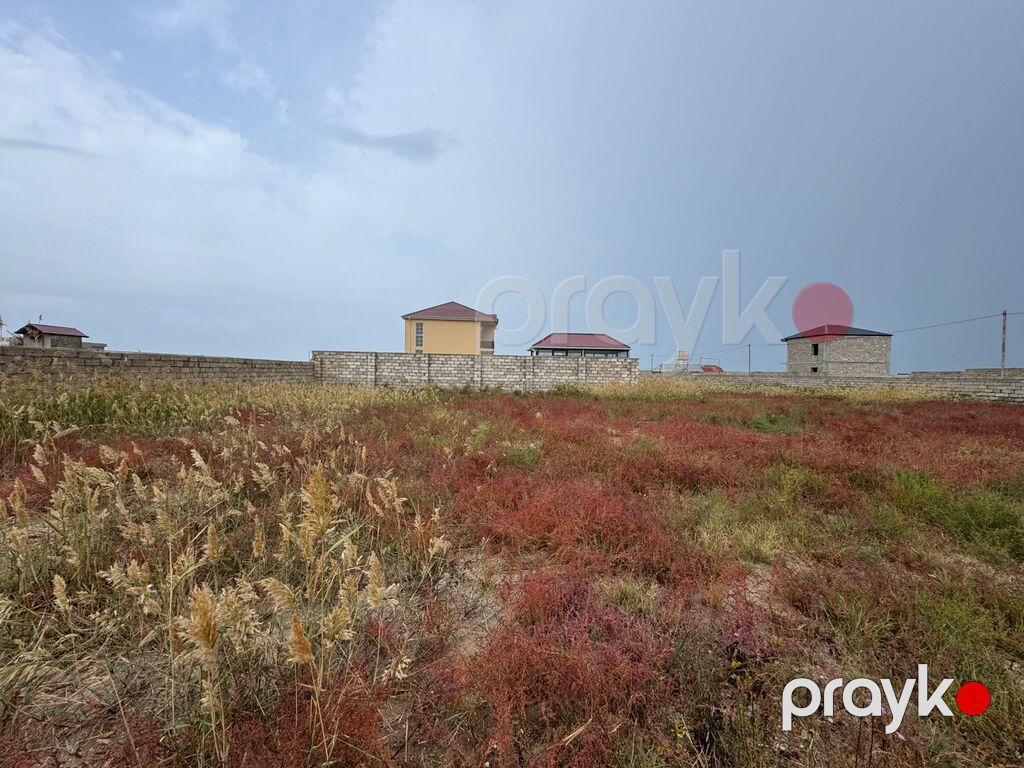 Satılır torpaq 6 sot — Torpaq, Bakı (3)