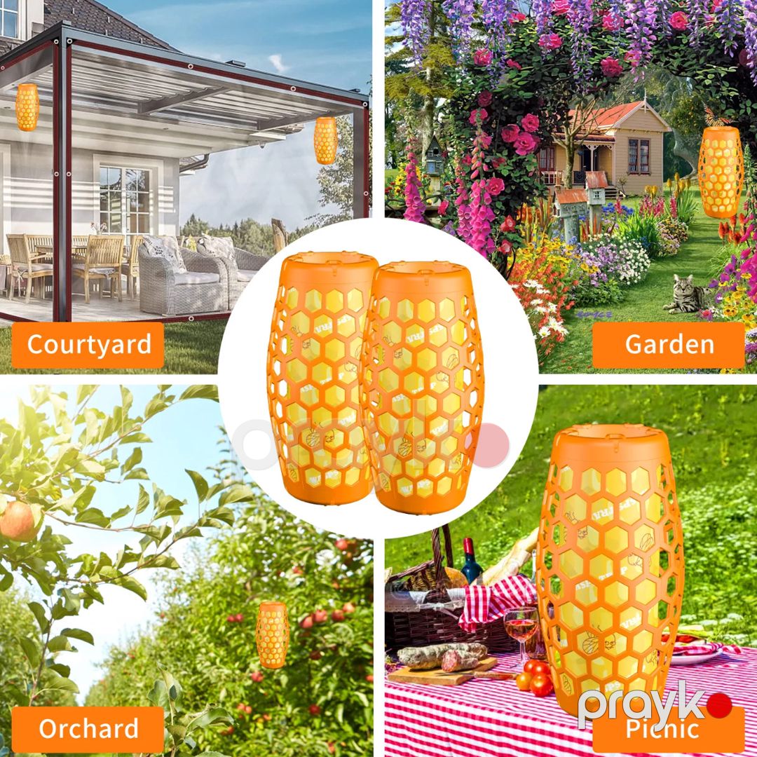 Ağcaqanad tələsi 2E JS5589 narıncı — Mallar, Bakı (2)